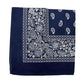 Foulard Western